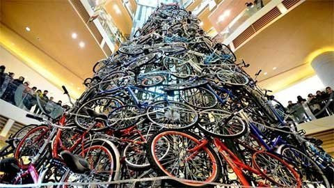 Cây thông Xe đạp ở Shenyang, Trung Quốc. 