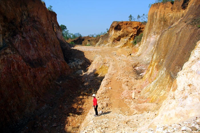 Mặc dù trong biên bản bàn giao đất lâm nghiệp đã quy định ông Long không được gây tác hại đến rừng phòng hộ, chắn cát, đảm bảo độ che phủ..., nhưng gia đình ông này vẫn chặt hạ toàn bộ rừng bạch đàn hàng chục tuổi để bán mà không trồng rừng thay thế. Không những thế, bắt đầu từ năm 2004, cha con ông Long còn xẻo đồi để bán đất, sỏi. Ảnh. H.T