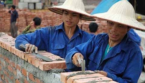 Ảnh minh họa. Nguồn: internet