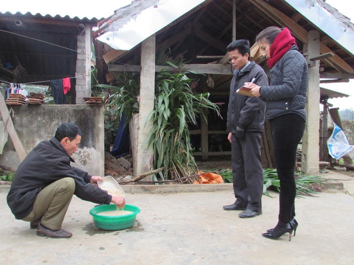 Pha nước ấm cho đàn trâu bò uống. Ảnh: Minh Thái