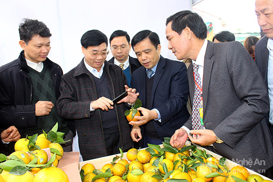  Các đồng chí Nguyễn Văn Thông - Phó Bí thư Tỉnh ủy, Huỳnh Thanh Điền - Phó Chủ tịch UBND tỉnh cùng các đại biểu tham quan các gian hàng cam tại hội chợ. Ảnh: Quang An