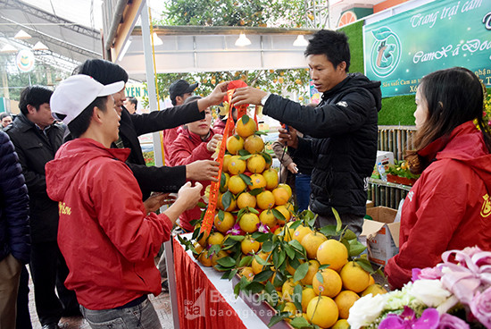  Các gian hàng trưng bày sản phẩm tại hội chợ.