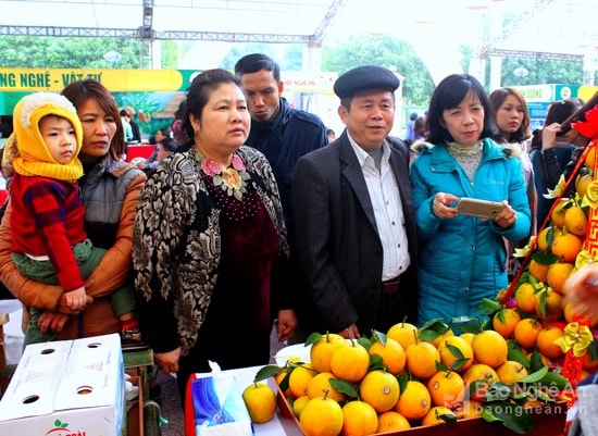 Các gian hàng trưng bày cam Vinh được