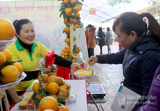 Khách hàng không chỉ được chiêm ngưỡng cam Nghệ An với nguồn gốc xuất xứ rõ ràng mà còn được nếm thử vị cam của các vùng miền để chọn mua. Chị Lê Thị Dung, phường Trường Thi, TP.Vinh phấn khởi: cam tại hội chợ rất chất lượng và an toàn hơn các loại cam ngoài thị trường trước đây. Nếu cam hợp khẩu vị chúng tôi có thể lấy số liên lạc của chủ gian hàng để sau này có thể đặt hàng. Ảnh: Quang An