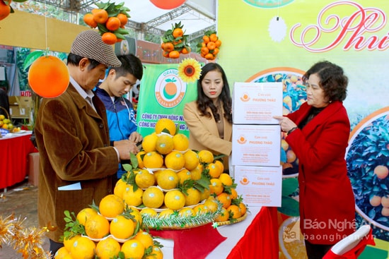 Sau khi nếm vị và ưng ý, nhiều khách hàng đã mua cam Vinh với số lượng lớn và đóng thùng cẩn thận để vận chuyển về nhà.