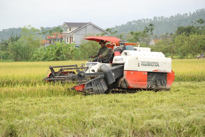 Cơ giới hoá, ứng dụng khoa học kỹ thuật là định hướng của Quỳnh Lưu phát triển nông nghiệp theo hướng hàng hoá, bền vững. Ảnh: Mỹ Nga