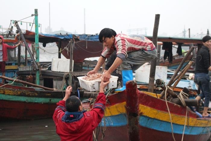 Những khay tôm biển đầy ắp được ngư dân vận chuyển lên bờ trong niềm vui được mùa. Ảnh: Việt Hùng