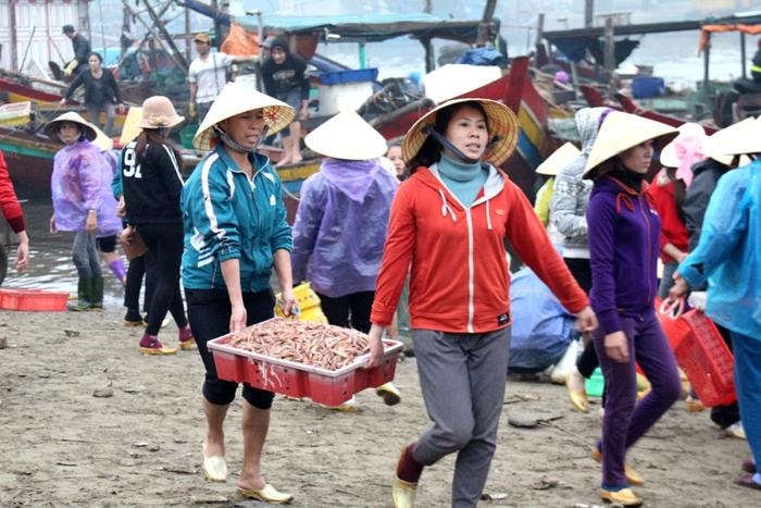 Tàu về bến, thương lái tranh nhau mua hải sản, sau đó vận chuyển đi phân phối các điểm chợ trong và ngoài huyện. Ảnh: Việt Hùng