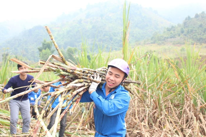 Dù mệt nhọc nhưng ai cũng tỏ ra phấn chấn vì làm việc được những việc giàu ý nghĩa. Ảnh: Lương Nga