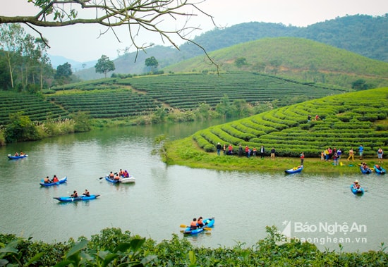 Điểm đến Đảo Chè - Đập Cầu Cau, huyện Thanh Chương là một trong những điểm đến mới được ưa thích.