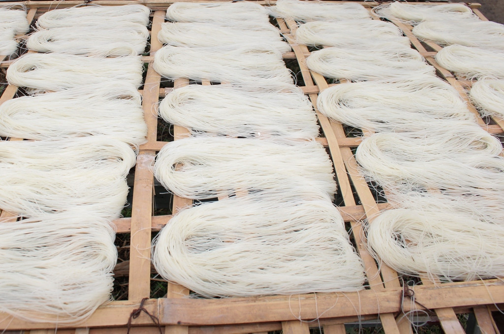  Miến gạo sản xuất ra có 2 loại, gồm sợi thẳng và sợi gấp; hiện tại giá miến gạo là 14.000 - 15.000 đồng/kg; mỗi hộ sản xuất từ 3 -3, 5 tấn gạo cho thu nhập từ 350.000 -500.000 đồng. Ảnh: Việt Hùng