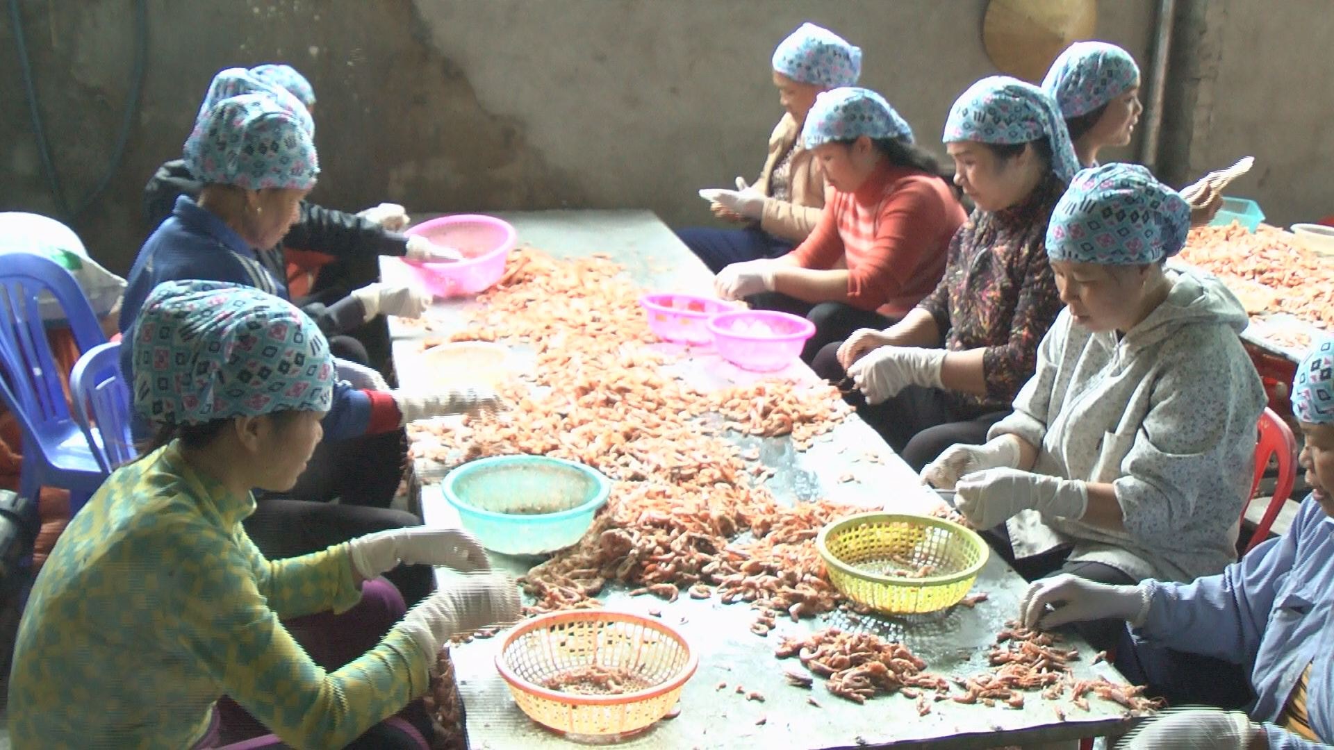 Bà con làng nghề Diễn Ngọc bóc sơ chế tôm nõn. Ảnh: Mai Giang