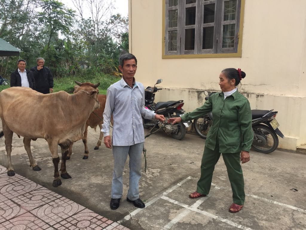 Bàn giao bò giống thứ 2 cho hộ ông Phạm Xuân Thu – xóm 9, xã Quỳnh Hậu. Ảnh: 