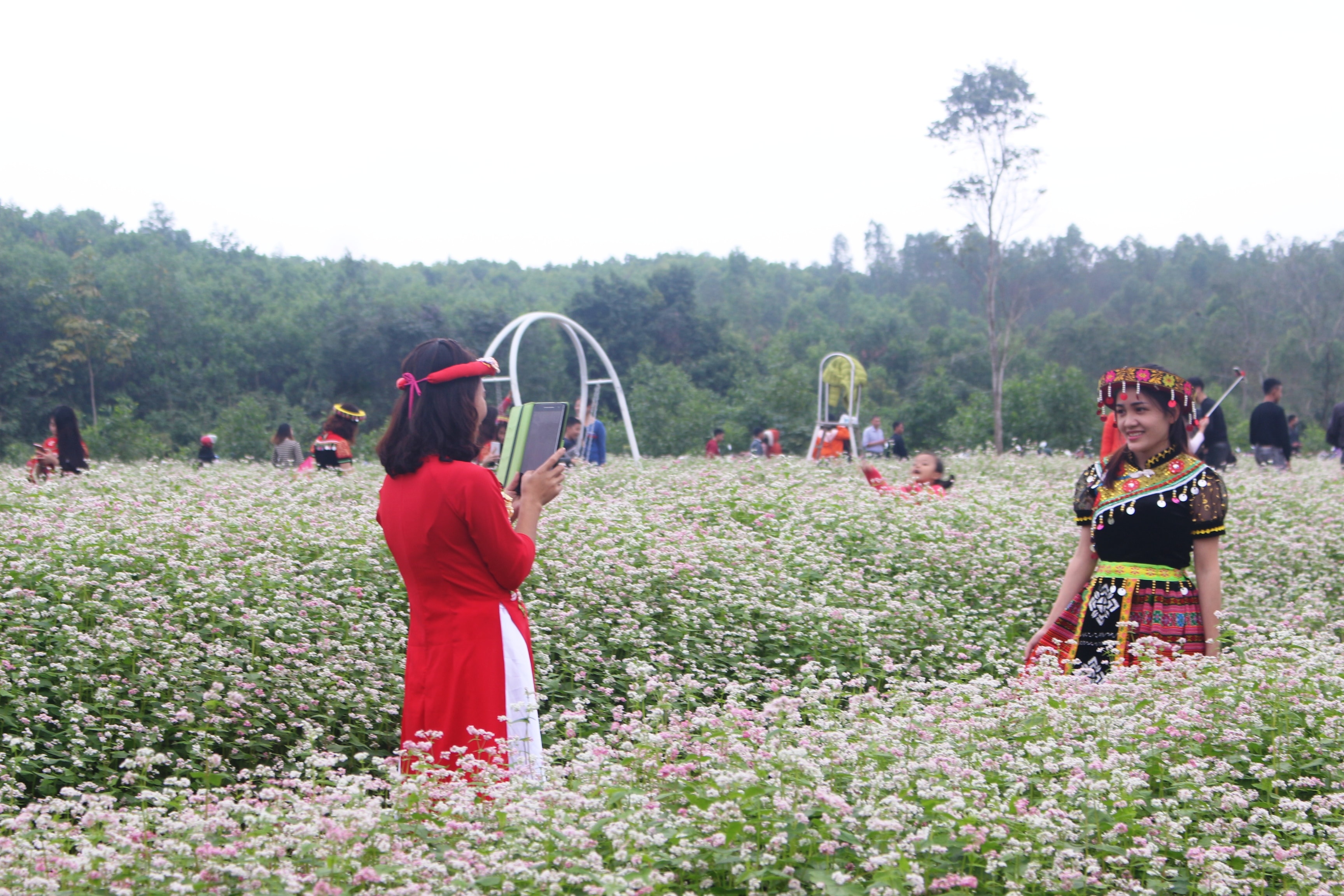 Những cô gái mặc trang phục đồng bào dân tộc Mông trên cánh đồng hoa tam giác mạch. Ảnh: Thái Trường