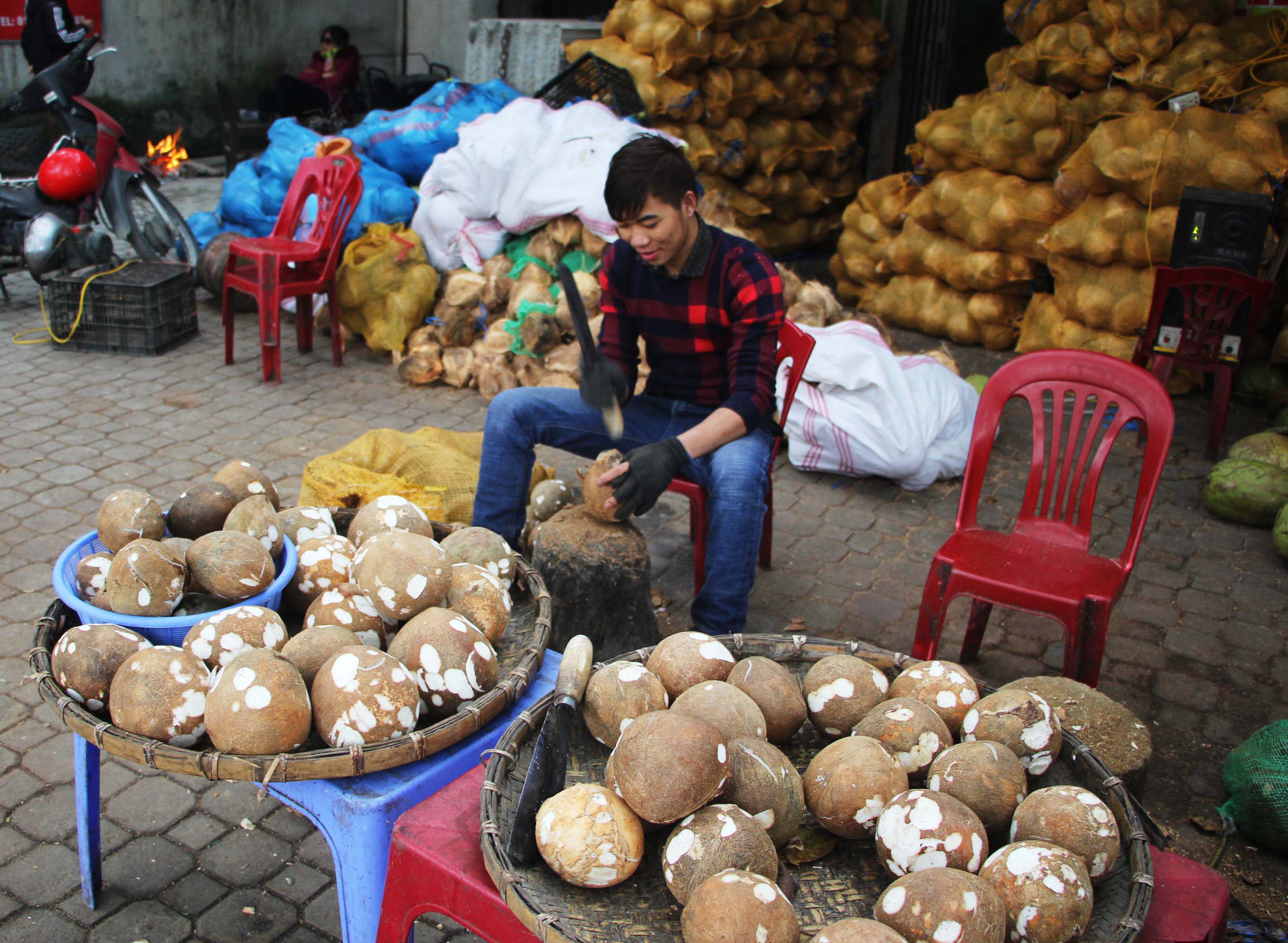 Hiện dừa được tiêu thụ mạnh dịp gần Tết nên các chủ hàng cũng tất bật đẽo dừa cho khách. Ảnh: Nam Phúc
