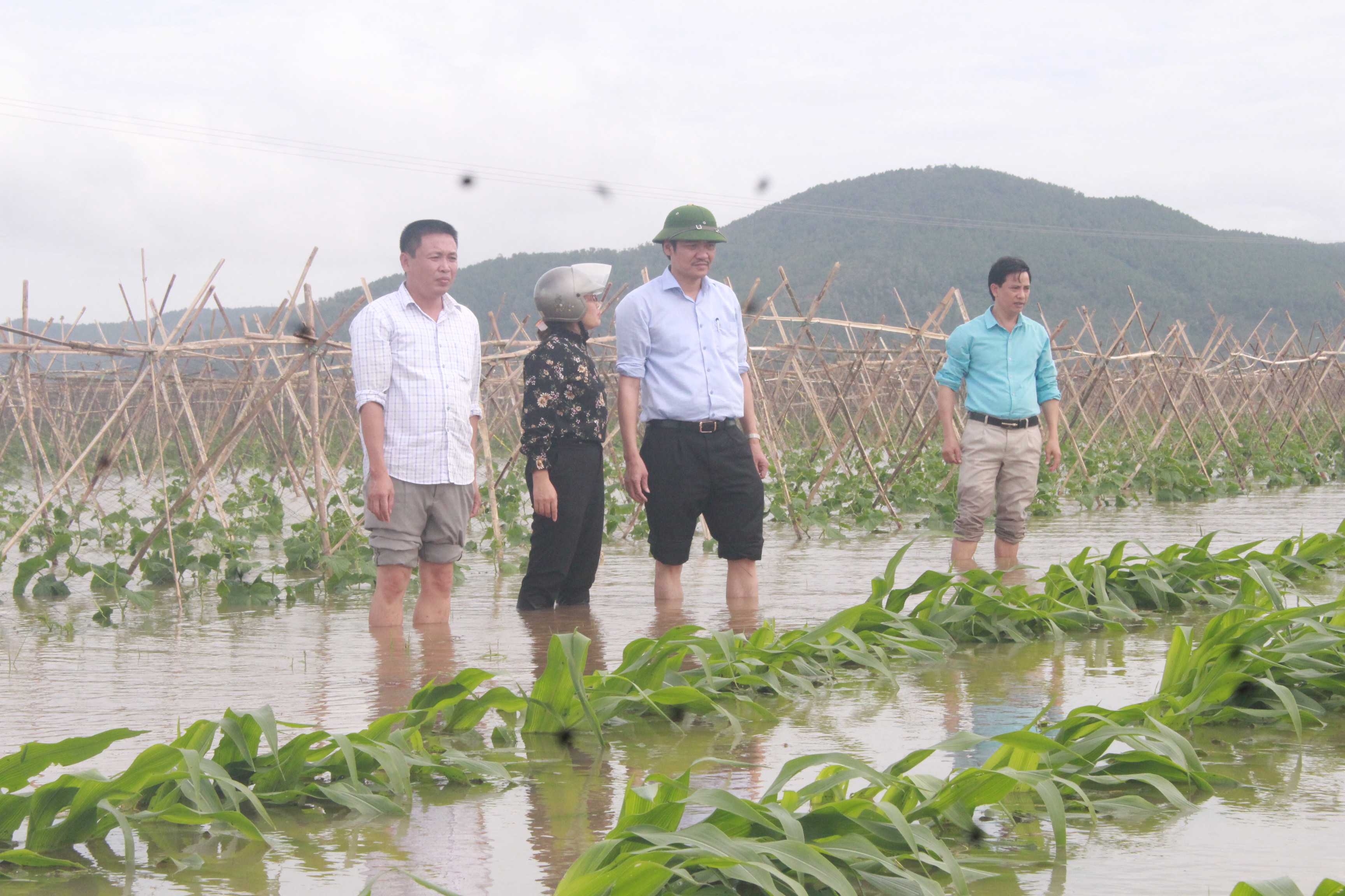 Lãnh đạo ngành NN&PTNT kiểm tra thiệt hại sản xuất nông nghiệp tại Diễn Châu sau cơn bão số 10. Ảnh: Phú Hương