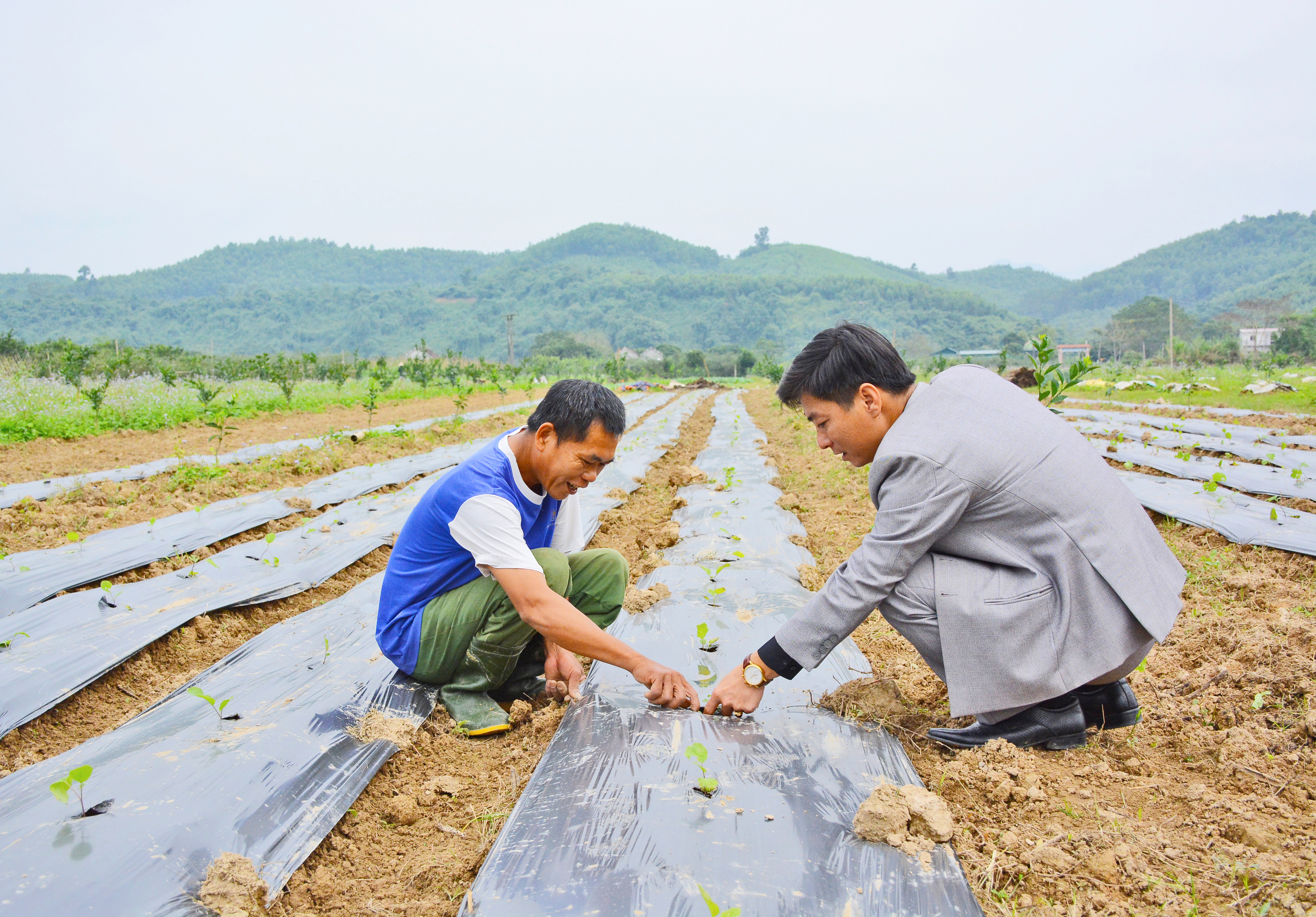 Mô hình ươm cây ăn quả tại xã Chi Khê (Con Cuông). Ảnh: Thu Giang