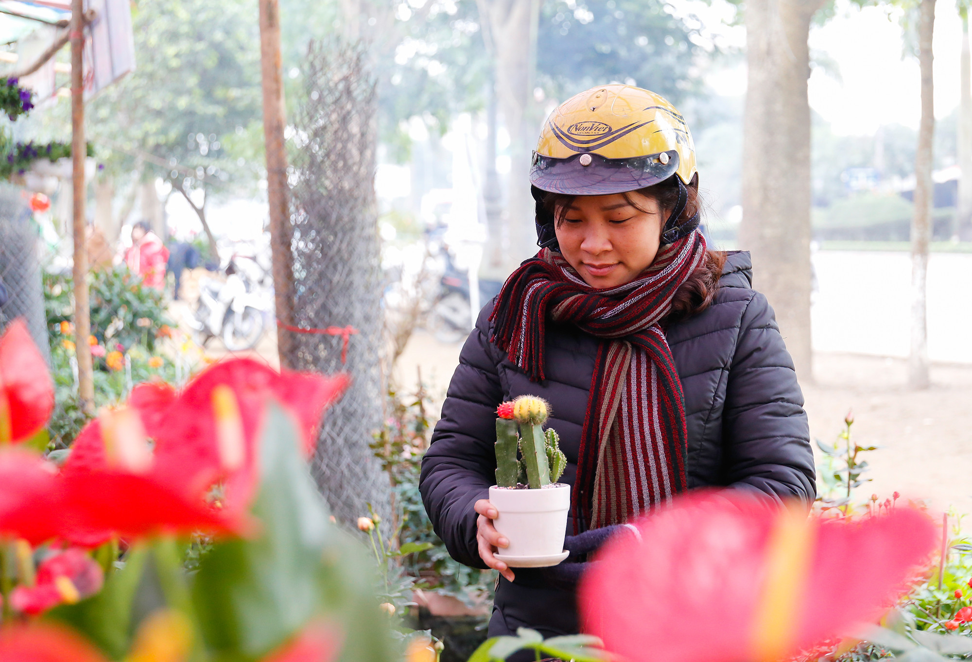 Chị Nguyễn Thị Duyên cho biết, hoa năm nay đẹp và có giá không đắt hơn năm các năm trước. Ảnh Đức Anh