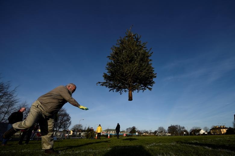 Một người đàn ông tham gia vào cuộc đua ném cây Noel, tại thị trấn Ennis, Ireland.