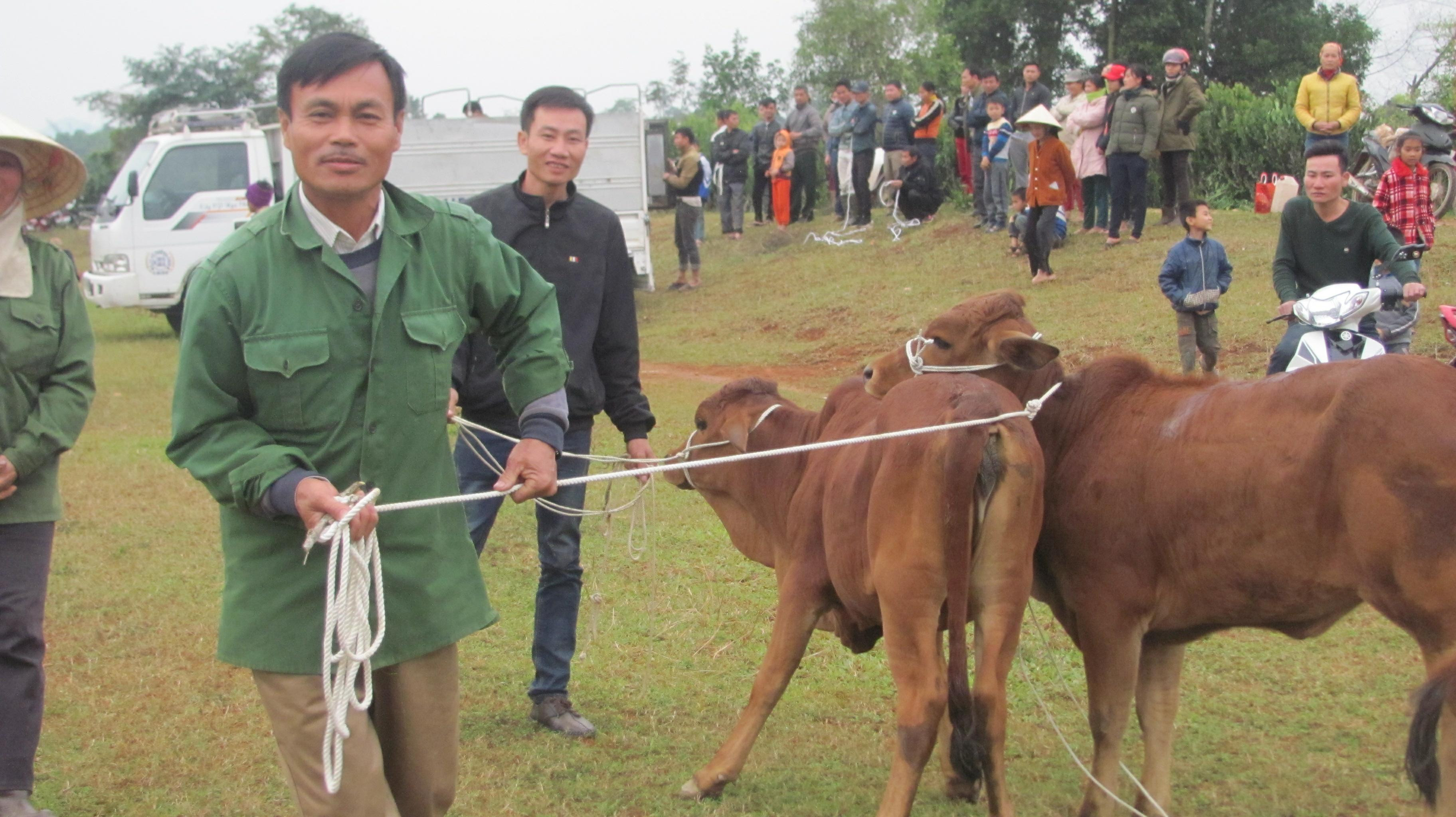 Các gia đình vui mừng khi được nhận bò. Ảnh: Minh Thái