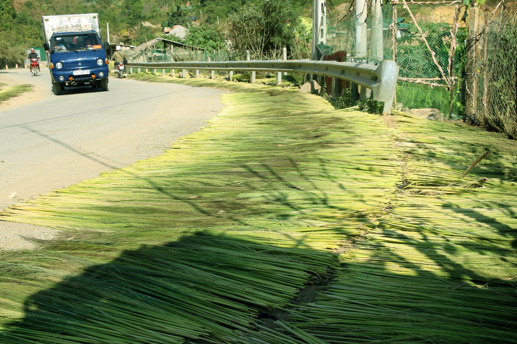 Bức tranh sinh động mùa đót. Ảnh: Hữu Vi