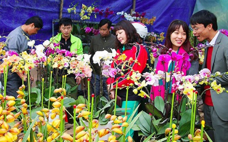 Phong trào sinh vật cảnh đang dần trở thành ngành kinh tế sinh thái có giá trị cao tại Nghệ An. Ảnh: tư liệu