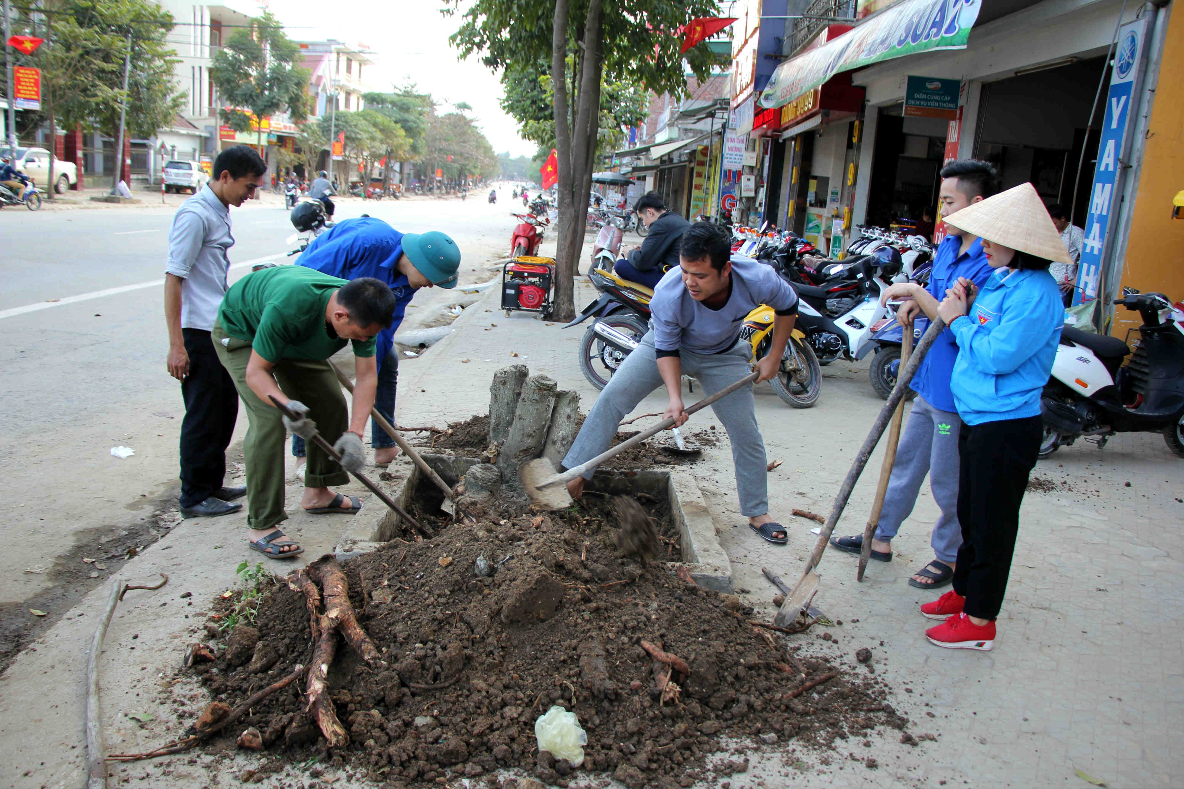 Đoàn thanh niên thị trấn Kim Sơn đào hố, trồng cây mới theo yêu cầu để lấy tiền gói bánh chưng tặng người nghèo đón Tết. Ảnh: Hùng Cường