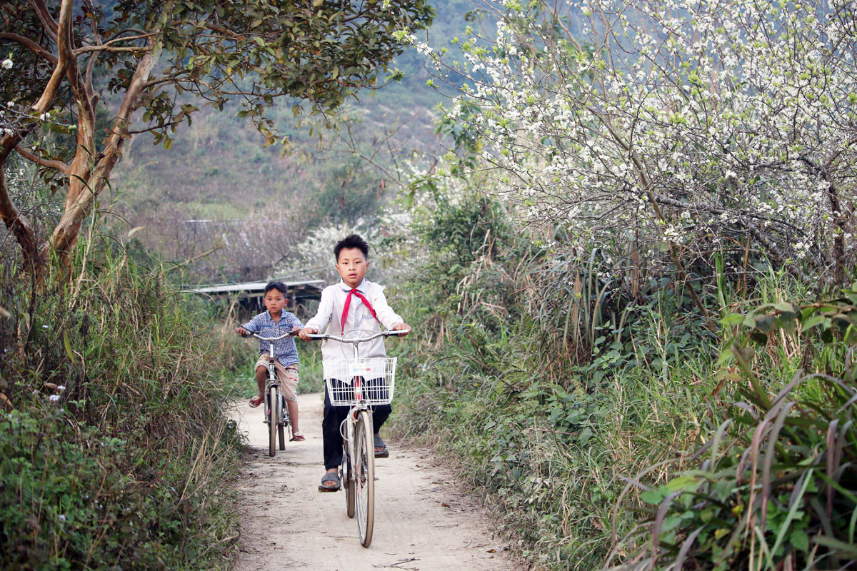 Những em nhỏ ở bản Mông Mường Lống 2 đi học về trong buổi chiều chạng vạng, khi sắc hoc càng trở nên nổi bật (Ảnh : Hữu Vi)