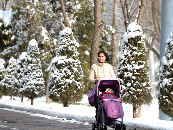 Một phụ nữ đẩy con bằng xe nôi dạo phố ở thủ đô Tashkent. Ảnh: Prokerala.