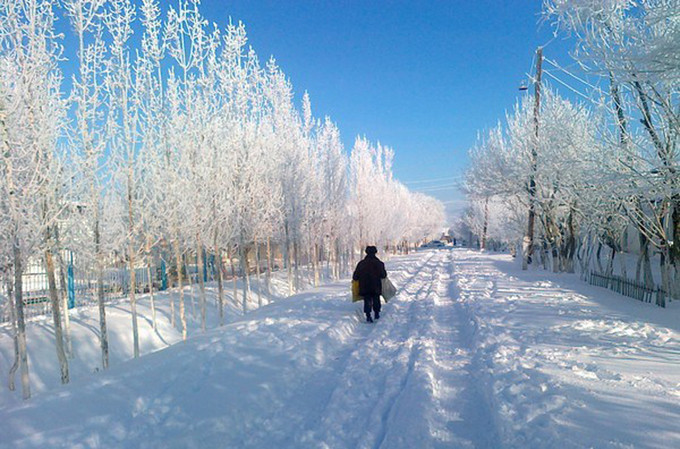 Vào mùa đông, tuyết rơi trung bình khoảng 5 cm trên khắp Uzbekistan và dày khoảng 10-12 cm ở các khu vực đồi núi. Ảnh: Globaltableadventure.