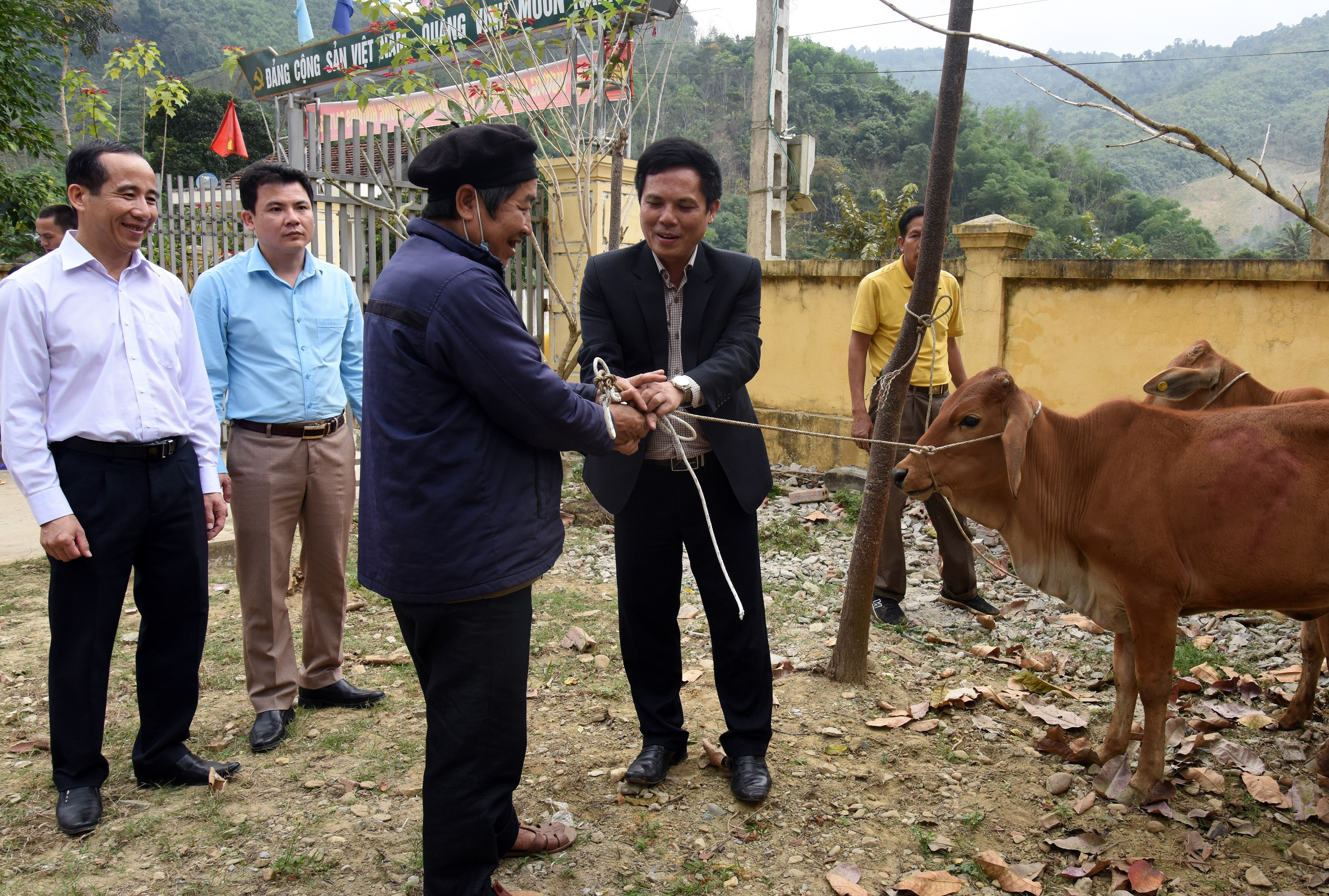 Tặng bò giống giúp 15 hộ nghèo tại xã phát triển kinh tế. Ảnh: Thanh Sơn