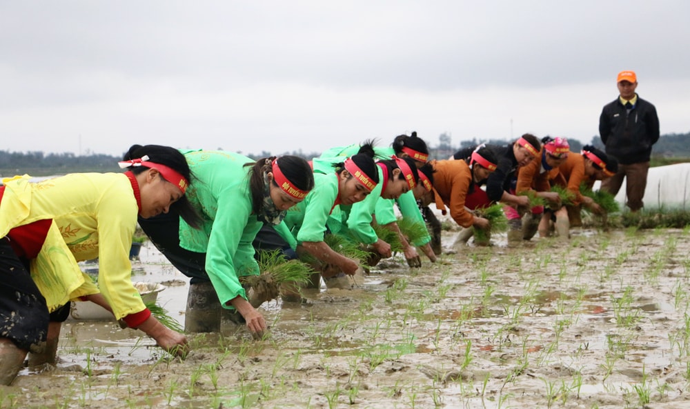 Các thí sinh của 3 đội tranh tài.Ảnh: Lâm Tùng