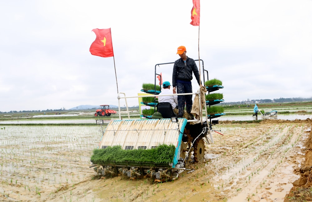 Trình diễn máy cấy tại hội thi. Ảnh: Lâm Tùng