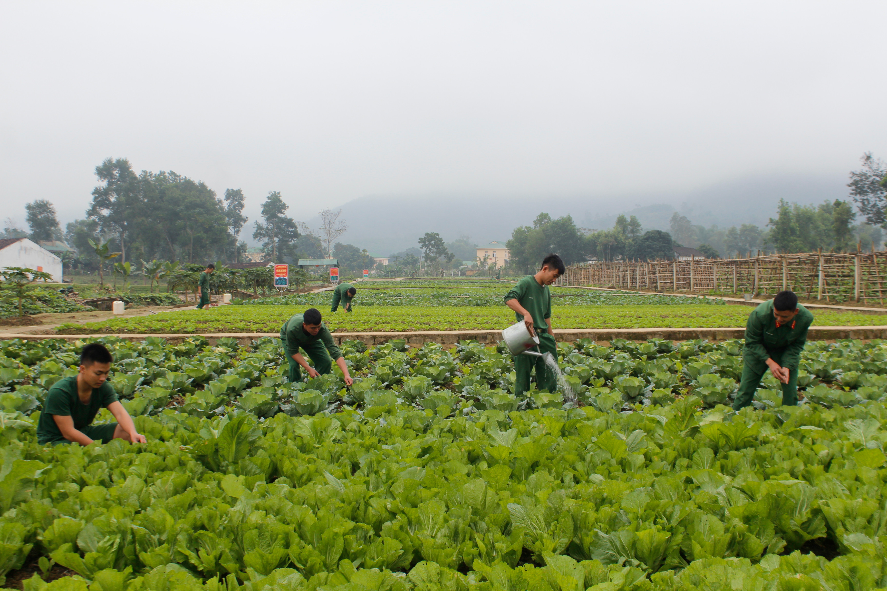 Dia cùng với các chiến sĩ chăm sóc vườn tăng gia