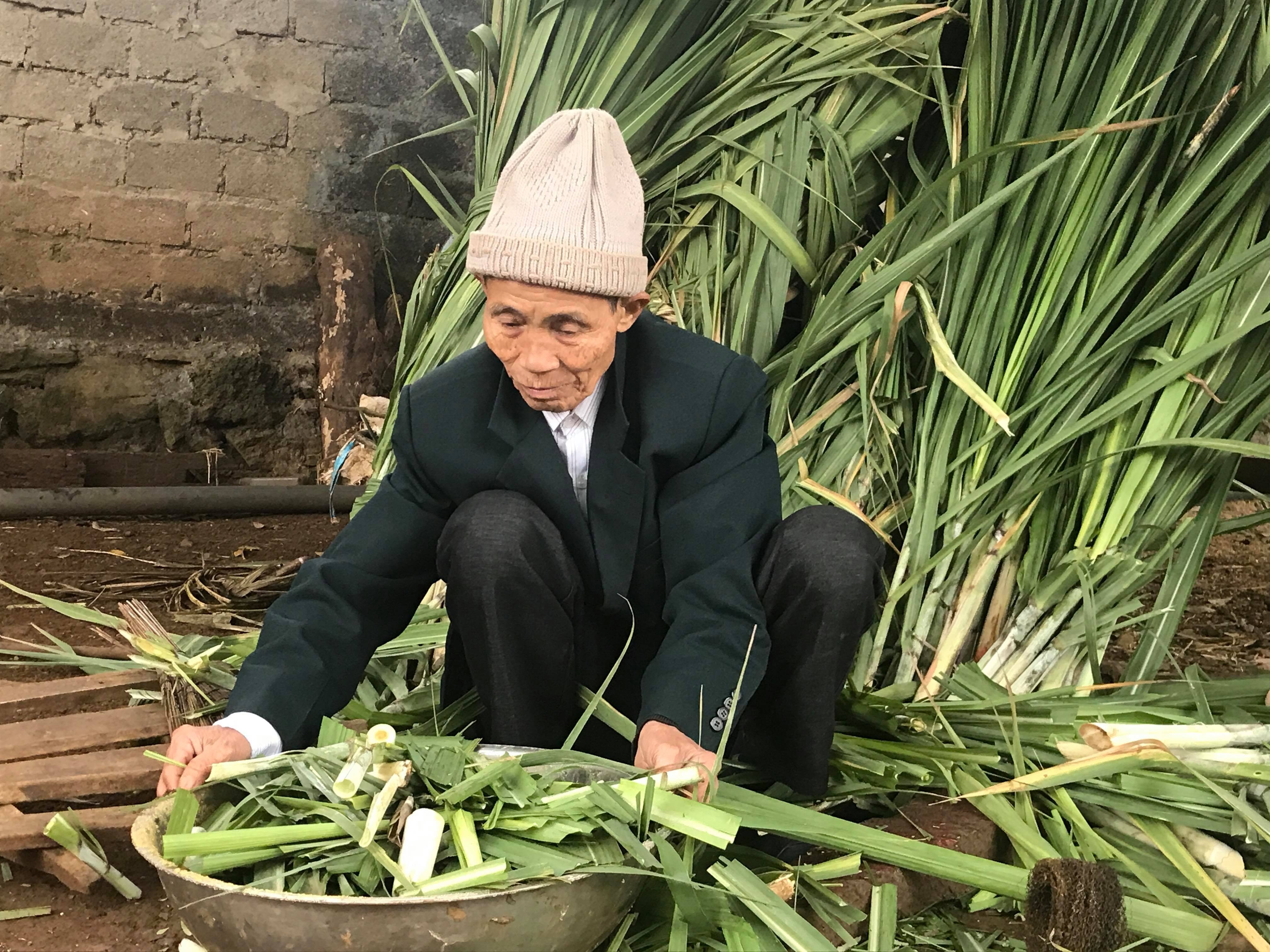 Công việc hàng ngày của gia đình ông Nguyễn Văn Thẩm, làng Chong, xã Nghĩa Yên