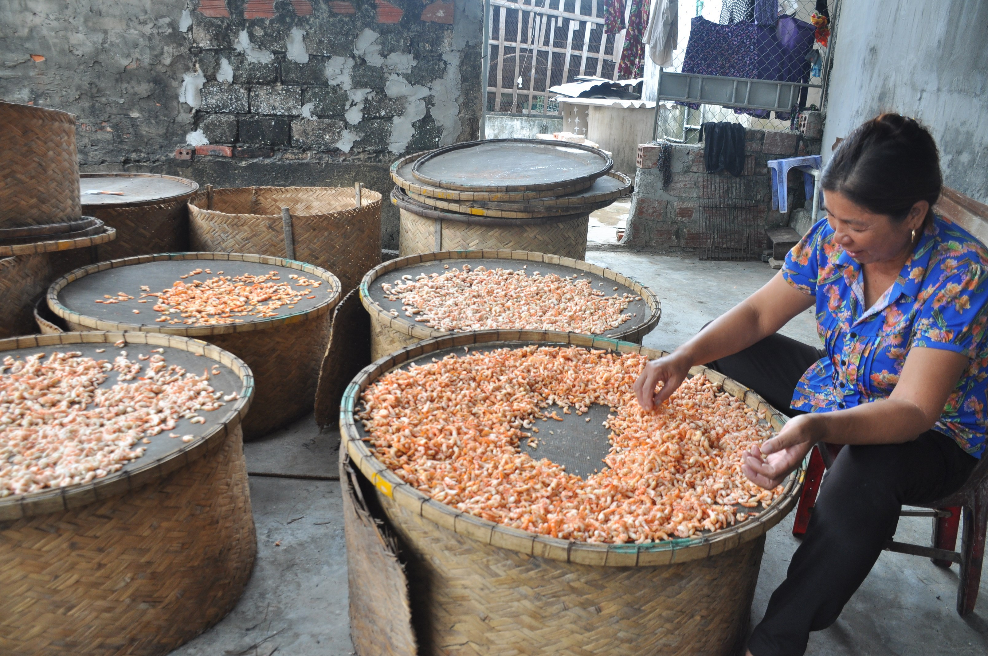 Người dân Diễn Ngọc, Diễn Châu vay vốn Ngân hàng CSXH chế biến hải sản. Ảnh: Thu Huyền