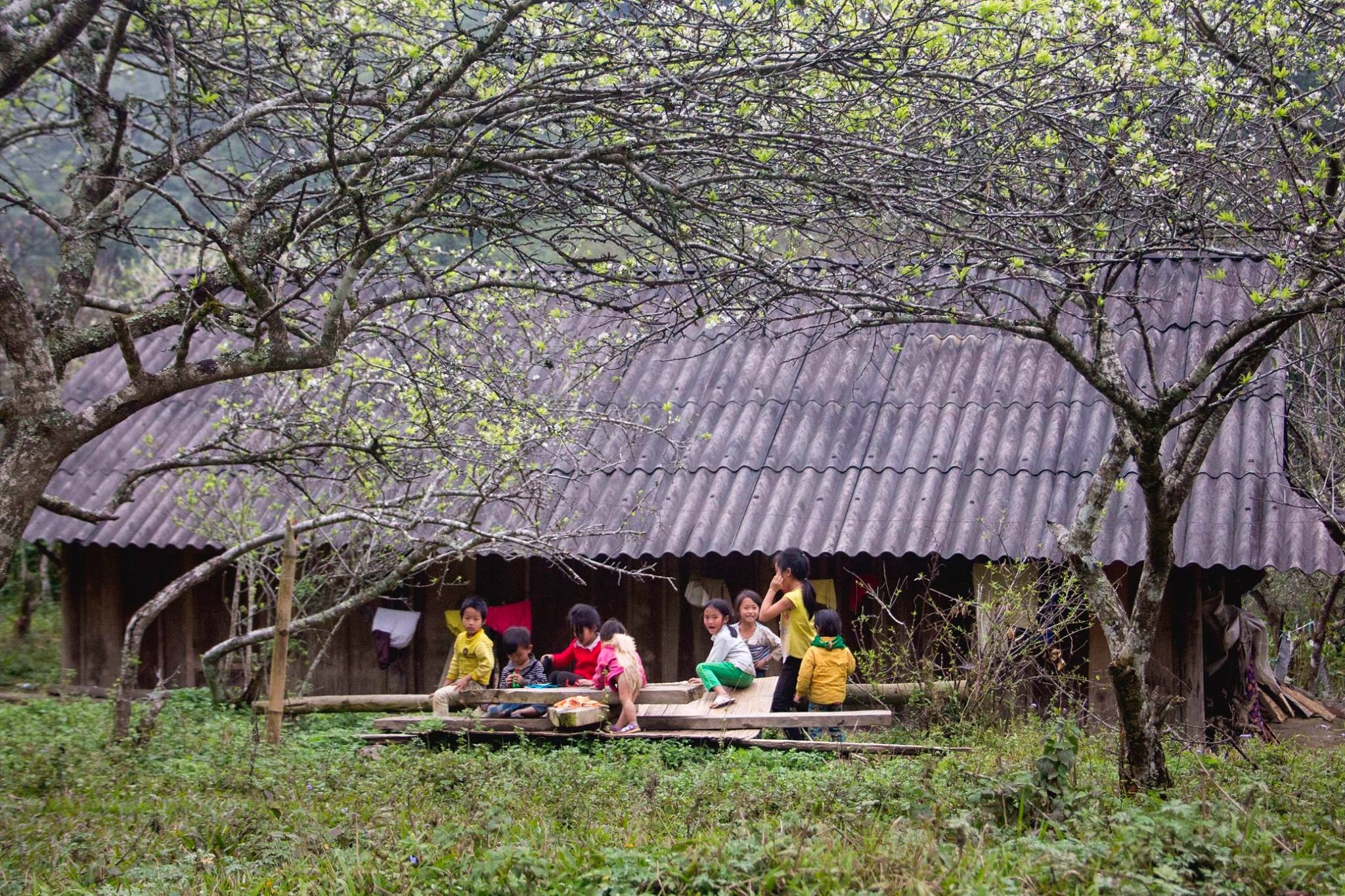 Lũ trẻ chơi đùa trong sân nhà, trong khung cảnh bình yên và thơ mộng. Ảnh: Nguyễn Thành