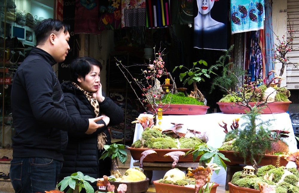 Chậu cây mang tên 