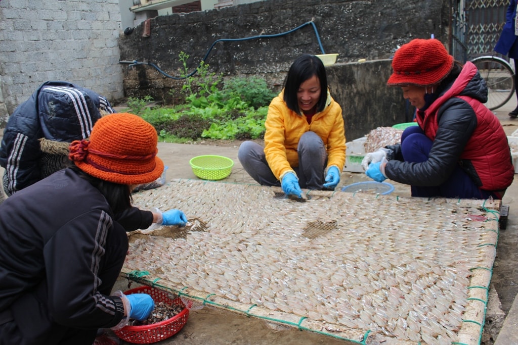 Vào dịp Tết, việc lựa chọn và mua những thứ đặc sản để tiếp khách luôn được người dân đặc biệt quan tâm. Nắm bắt được tâm lý đó, bà con xã biển Tiến Thủy (Quỳnh Lưu) đã sử dụng nguồn hải sản đánh bắt trên biển để chế biến thành những món ăn, đồ nhậu ngon ngày Tết.