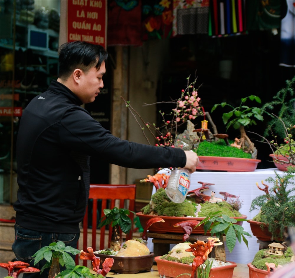 Gian hàng bán linh chi bonsai tại Hàng Lược thu hút ánh mắt chú ý của nhiều người dân và du khách. Nó không chỉ có hình thức lạ mắt, độc đáo mà còn tỏa hương thơm dễ chịu. Chị Lê Bích Diệp (Hà Nội) - một khách hàng chia sẻ: 