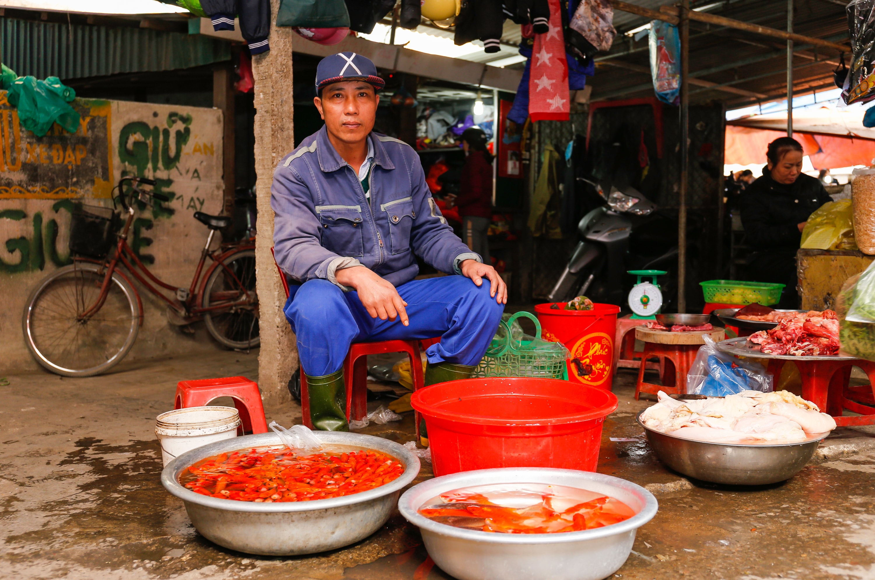 Anh Thanh cho biết cá năm nay có nhiều chủng loại phù hợp với nhiều đối tượng khách hàng