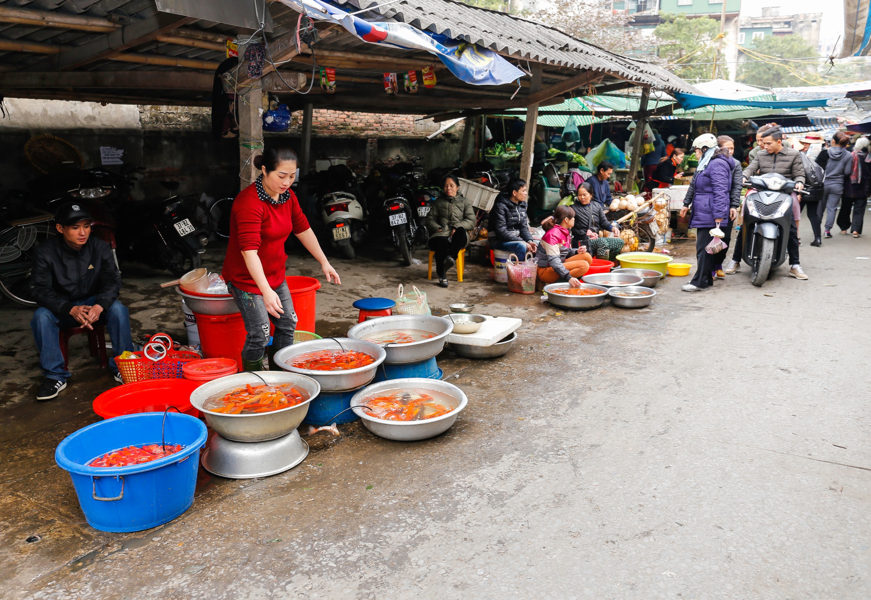 Lễ cúng tiễn ông Công ông Táo còn được dân gian gọi lễ cúng tiễn Táo quân chầu trời là một nghi lễ rất quan trọng đối với các gia đình Việt Nam. Vì thế, ngày 23 tháng Chạp, thị trường cá vàng cúng ông Táo tại các chợ đều rất sôi động