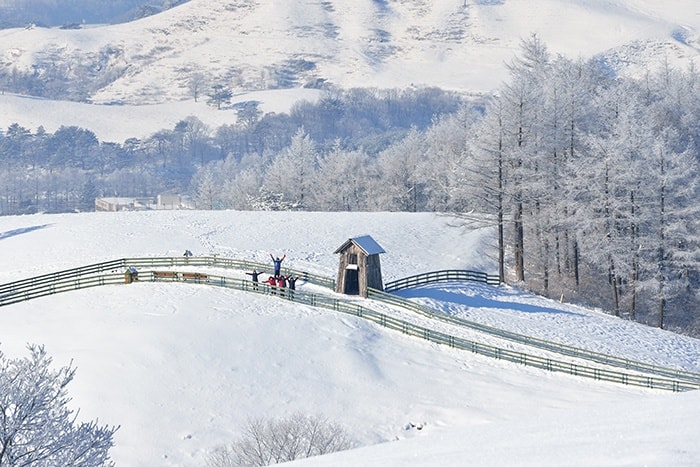 Daegwallyeong ở Pyeongchang là mái nhà của Hàn Quốc, một vùng cao nguyên rộng lớn với thảm cỏ xanh bao la và những khu rừng rậm rạp. Vào mùa đông, những cánh đồng tuyết miên man ở nơi đây cho cảm giác chạm đến bầu trời.