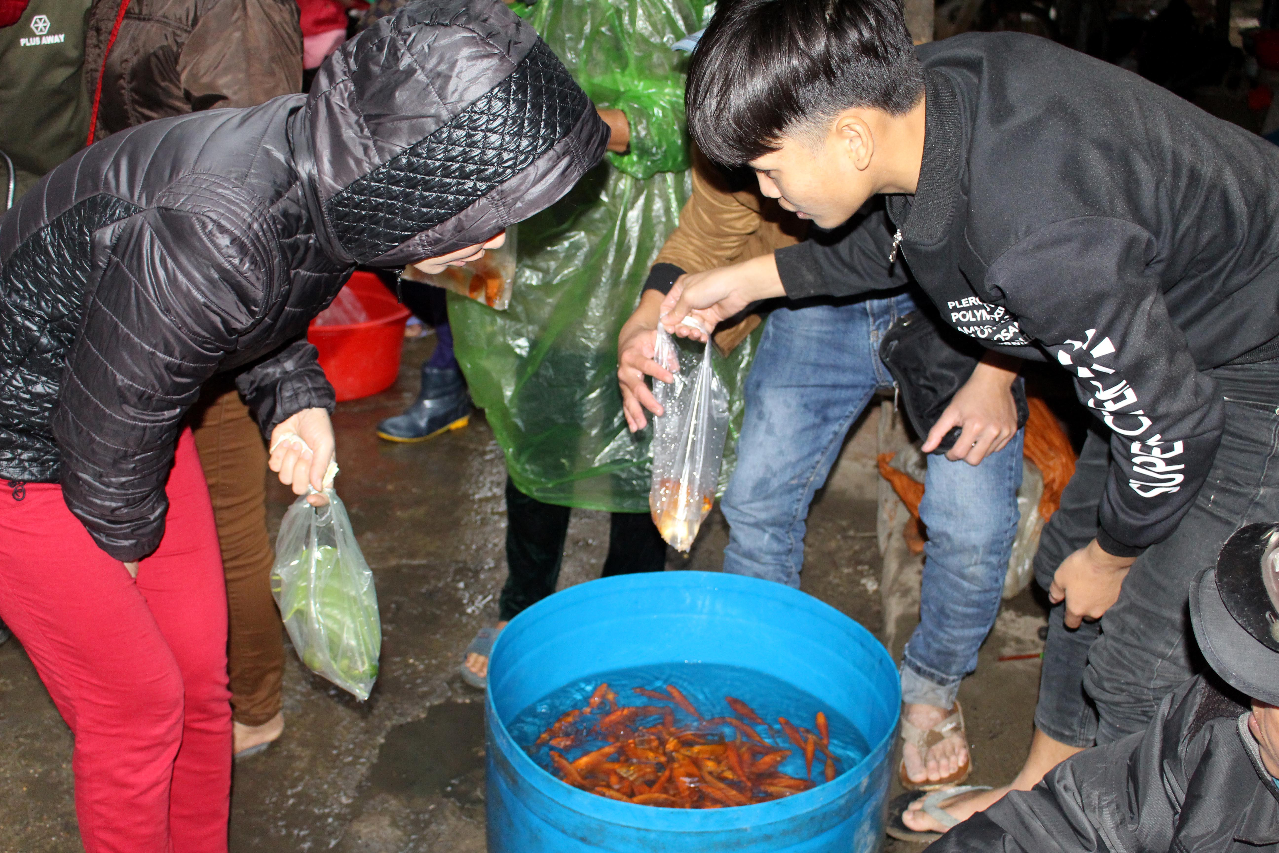 8.    Cá chép vàng bán theo con, tùy lớn nhỏ mà có giá từ 10 – 15 nghìn đồng/con. Thường thì trên mâm cúng ông Táo chỉ cần 1 con cá chép là đủ, nhưng dân buôn lại khuyến khích khách hàng mua nhiều hơn thế, ít nhất là 3 con. Ảnh: Huy Thư