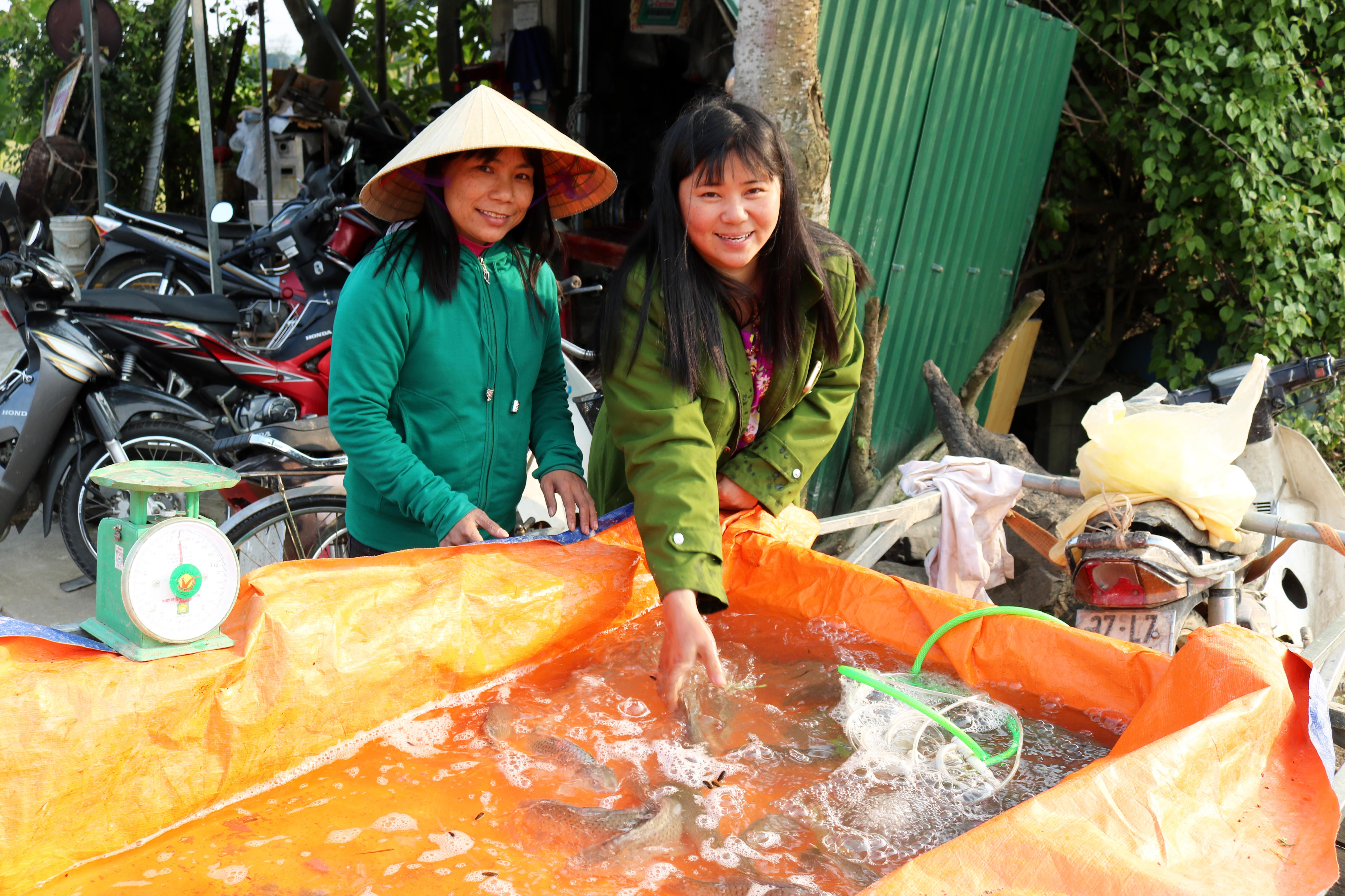 Không ít người dùng xe kéo chở cá chép ao đến bán trước các cổng chợ. Ảnh: Huy Thư