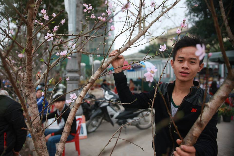 Bán đào Tết. Ảnh: sách nguyễn