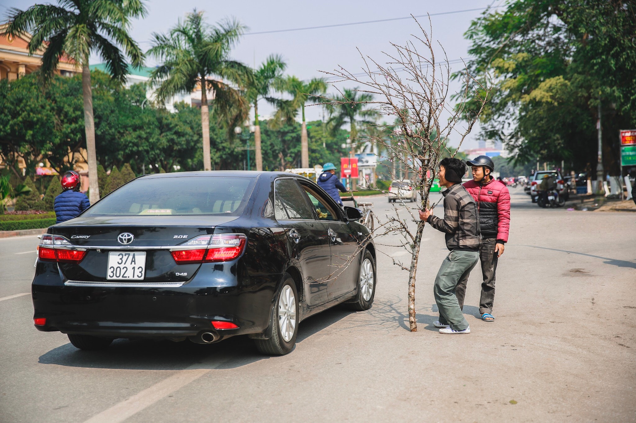 Anh chàng bán đào này đem cành đào của mình đến tận xe xe ô tô của người đi đường để...tiếp thị. Ảnh: Hải Vương