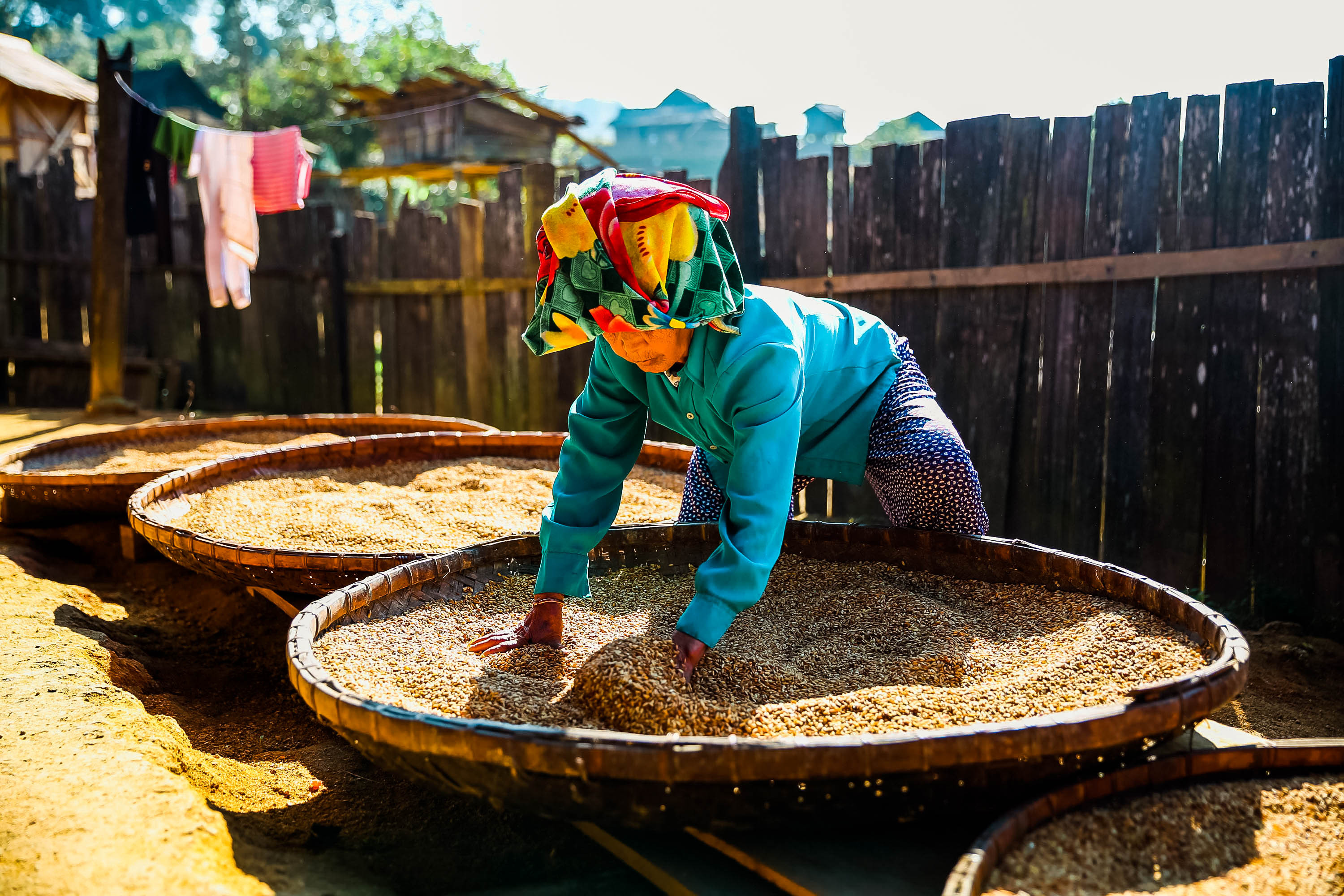 Ngày nắng, bà con người Mông ở bản phơi lại lúa. Ảnh: Kiên Phương