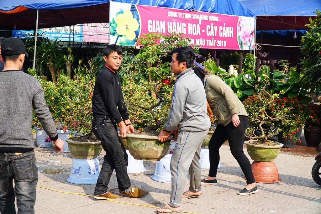 Ảnh: Hồ Đình Chiến