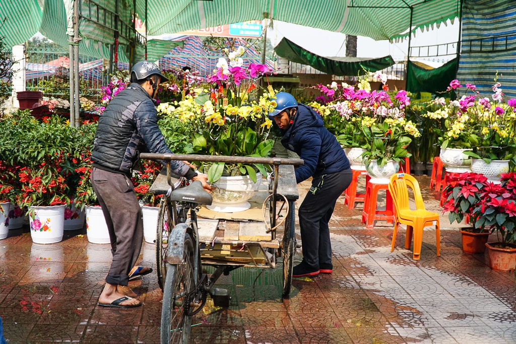 Ảnh: Hồ Đình Chiến